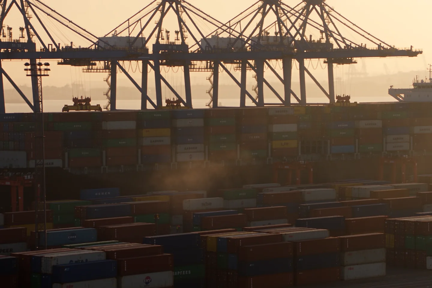 Container cranes at a working port in warm evening light